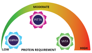 Ayurveda & The Paleo Diet - Digital Educational Course Experience Ayurveda 