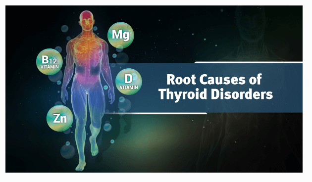 Ayurveda & Thyroid Health (Ayurveda on Root Causes of Thyroid, Diagnosis of Thyroid and Thyroid Diet) Educational Videos The Ayurveda Experience 