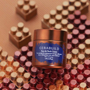 Cerabuild Face and Neck Cream - Protect Your Skin's Lost Moisture with Phyto-Ceramides: Lotion & Moisturizer A Modernica Naturalis 